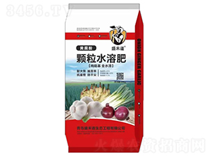 �S�����w��ˮ�ܷ�-ʢ�̵�