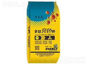 ������ɫ�-������-�ژ�(l��)��