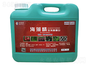 ���徫��~����-ؐ����-����v�x