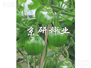 ����2̖(h��o)-�ϹϷN��-���зN�I(y��)