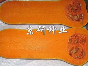 �S��2̖(h��o)�Ϲ�-�ϹϷN��-���зN�I(y��)