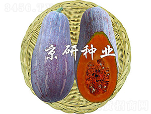 ����1̖-�ϹϷN��-���зN�I(y��)