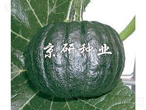 ������-�ϹϷN��-���зN�I(y��)