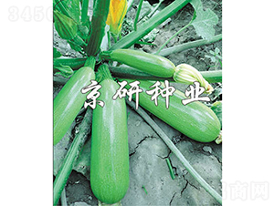 ����6̖-�����J�N��-���зN�I(y��)