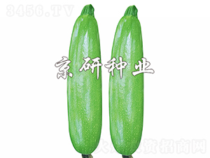 ���8̖-�����J�N��-���зN�I(y��)