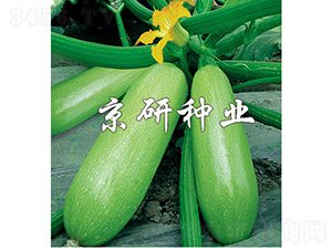 ����12̖-�����J�N��-���зN�I(y��)