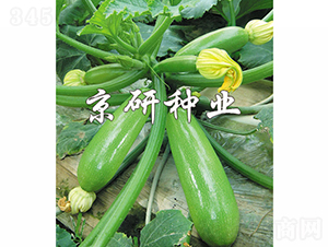 ����CRV3-3-�����J�N��-���зN�I(y��)