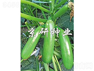 ����42̖-�����J�N��-���зN�I(y��)