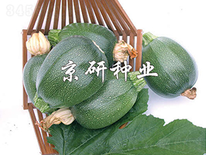 ����-�����J�N��-���зN�I(y��)