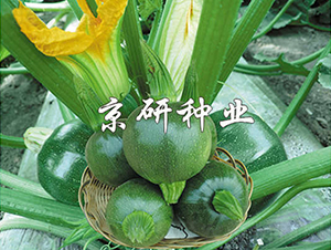 ����2̖-�����J�N��-���зN�I(y��)