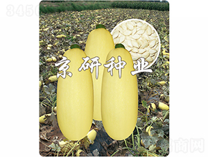 �������S1̖-�����J�N��-���зN�I(y��)