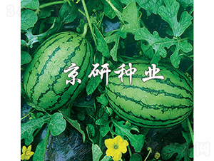 ����-���ϷN��-���зN�I(y��)