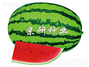 ����6̖-���ϷN��-���зN�I(y��)