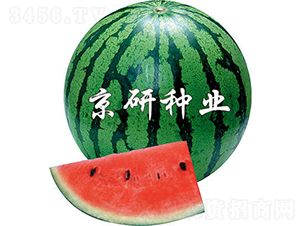 ����2̖-���ϷN��-���зN�I(y��)