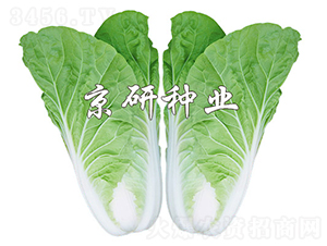 ���п��8̖(h��o)-�ײ˷N��-���зN�I(y��)