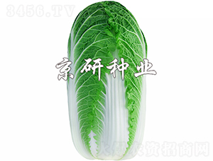 ������3̖(h��o)-�ײ˷N��-���зN�I(y��)