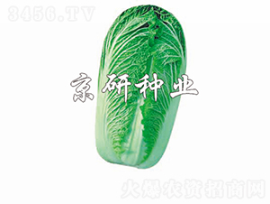 CR������3̖(h��o)-�ײ˷N��-���зN�I(y��)