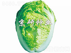 ����2̖(h��o)-�ײ˷N��-���зN�I(y��)