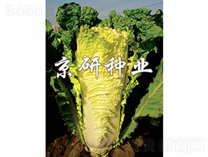 ������56̖(h��o)-�ײ˷N��-���зN�I(y��)