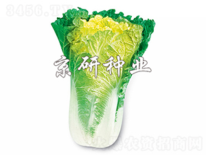 С�s56̖(h��o)-�ײ˷N��-���зN�I(y��)