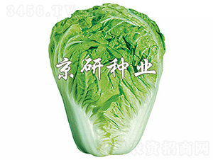 С�s60̖(h��o)-�ײ˷N��-���зN�I(y��)