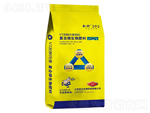 V3�l(f��)������w���ͺ�΢�������-����393-��������