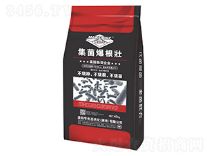 ����������-���P�A