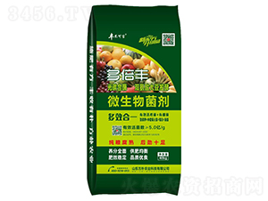 �౶�S΢�������-�S������-����