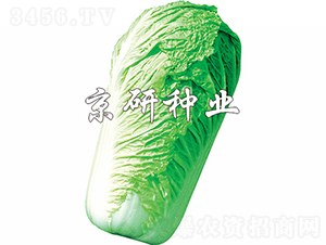 ������3̖-�ײ˷N��-���зN�I(y��)