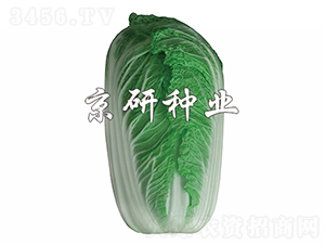 �����ۼt2̖-�ײ˷N��-���зN�I(y��)