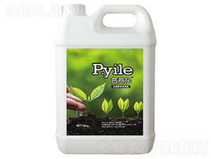 ����I�B(y��ng)���M(j��n)��-���☷-������