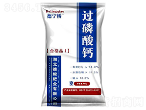 �^�����}-����-����ʘI(y��)