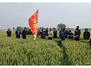 ���S��168�^Ħ-�͹��S