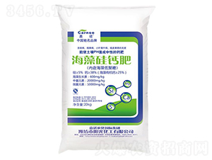 ������}��-���Z-�(y��ng)�⻯�� 