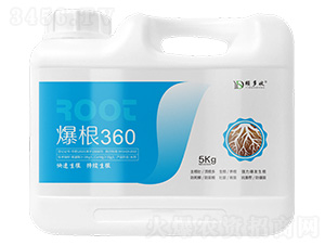 ����360-�U����