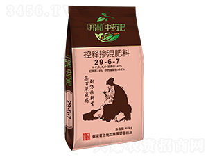 ��ጓ������29-6-7-�_����ˎ��-���ϻ���