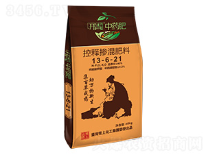 ��ጓ������13-6-21-�_����ˎ��-���ϻ���