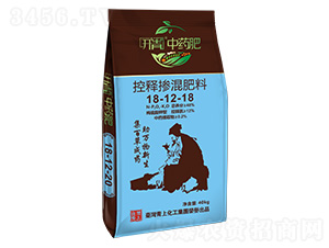 ��ጓ������18-12-18-�_����ˎ��-���ϻ���