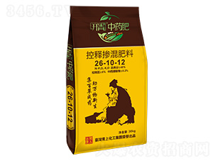 ��ጓ������26-10-12-�_����ˎ��-���ϻ���