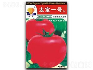 ̫��һ̖(h��o)-���ѷN��-�|ʥ