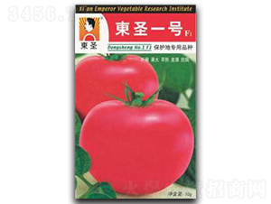 �|ʥһ̖(h��o)-���ѷN��-�|ʥ