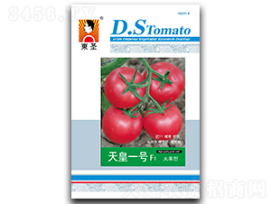 ���һ̖(h��o)-���ѷN��-�|ʥ