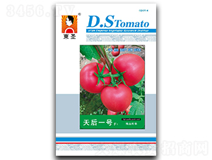 ���һ̖(h��o)-���ѷN��-�|ʥ