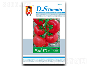 �|ʥ272-���ѷN��-�|ʥ