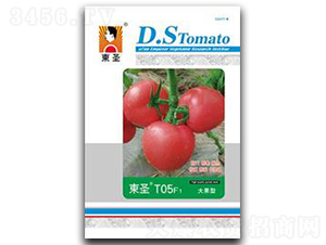 �|ʥT05-���ѷN��-�|ʥ