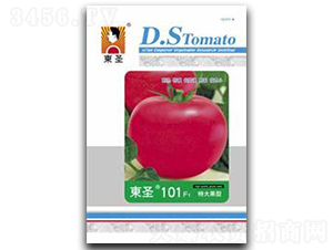 �|ʥ101-���ѷN��-�|ʥ