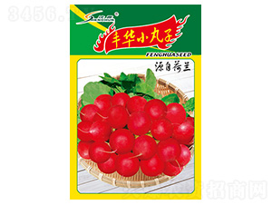 �S�AС����-�}���N��-�S�A�N�I(y��)