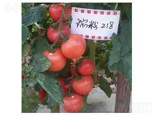 ���218-���ѷN��-����N��