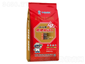 �ͺ�΢�������-�в�ʢ��-ʢ������