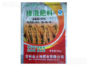 �������19-19-19-ʩ����-����